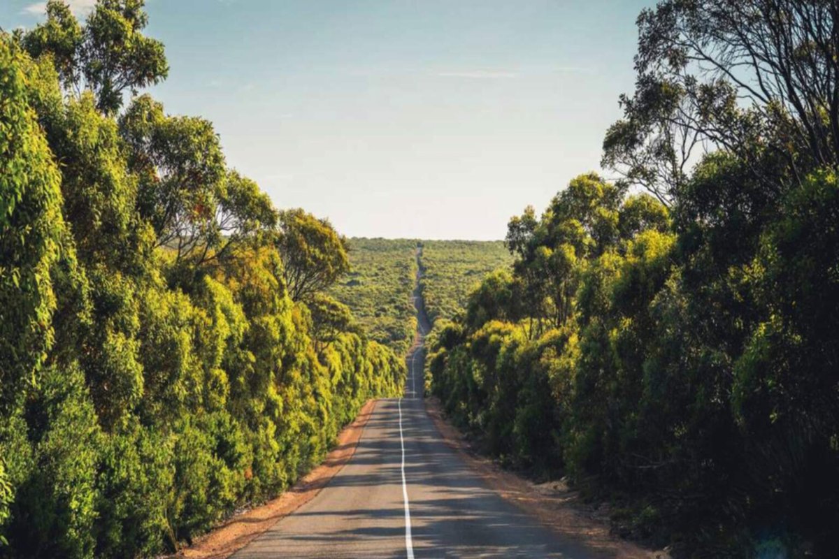 Australian Fuel Prices Surge: Diesel Up A$9.45 Per Fill
