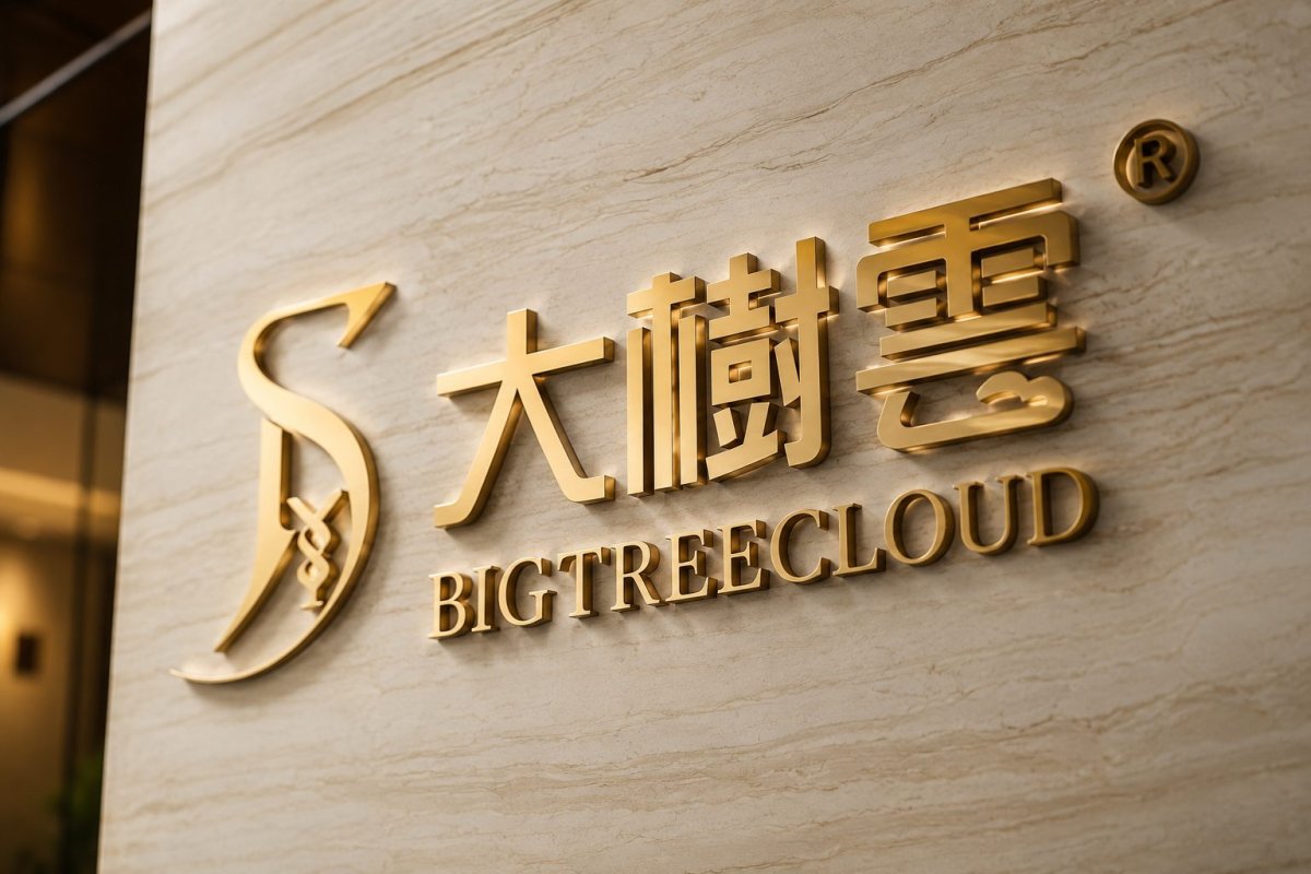 Big Tree Cloud Stock Plunges After Hours Following Massive Rally Ahead of Nasdaq Deadline