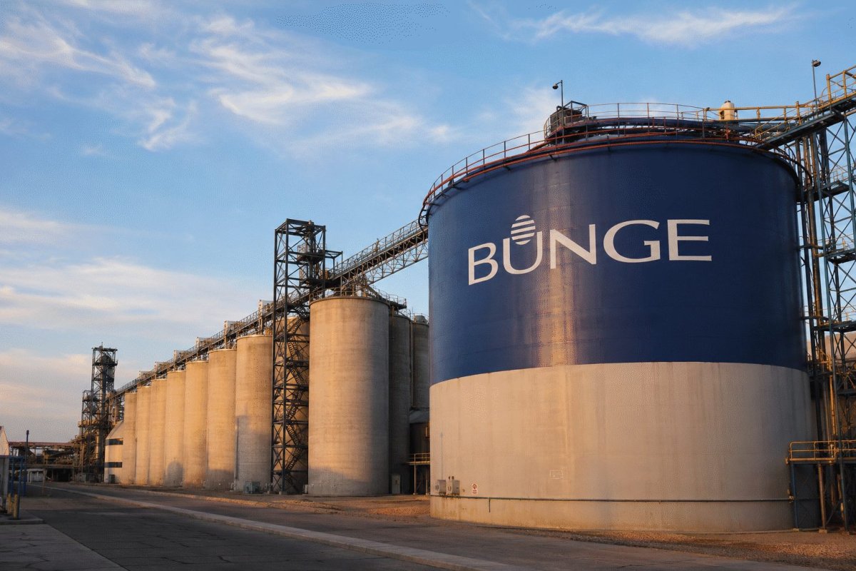 Bunge Stock Steady as Wheat Jumps; Oilseeds Drive 88% of Profit