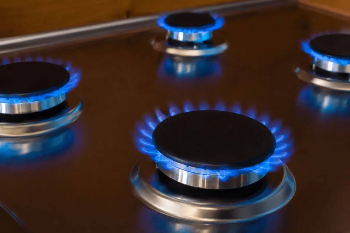 Dutch Regulator Halts Mid-Contract Gas Price Hikes Linked to Carbon Rules