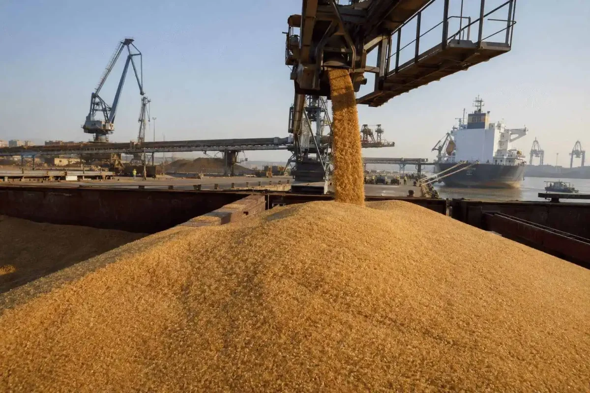 Sugar Futures Retreat as India Blames Speculation for Rally