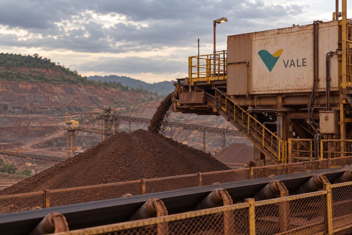 Vale's Panda Bond Talk: Strategic Funding Option, Not Imminent Sale