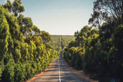 Australian Fuel Prices Surge: Diesel Up A$9.45 Per Fill