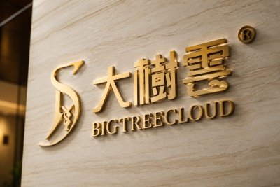 Big Tree Cloud Stock Plunges After Hours Following Massive Rally Ahead of Nasdaq Deadline