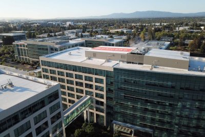 Palo Alto Networks Surges 12% as Cybersecurity Sector Rallies