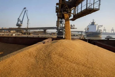 Sugar Futures Retreat as India Blames Speculation for Rally