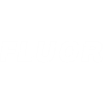 FLR