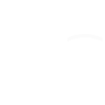 NVNI