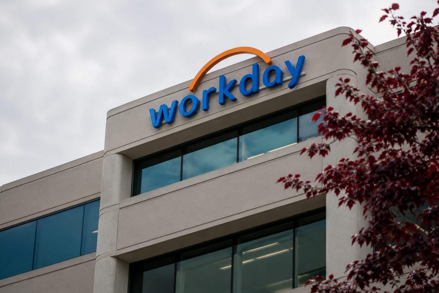 Workday Shares Workday Shares Surge on AI Agent Demand, Strong Q1 Results | StockTi